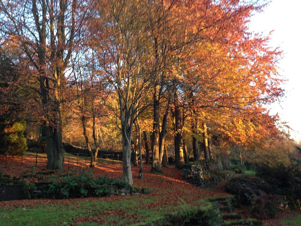 Robin Hood Farm B&B Baslow Exteriör bild