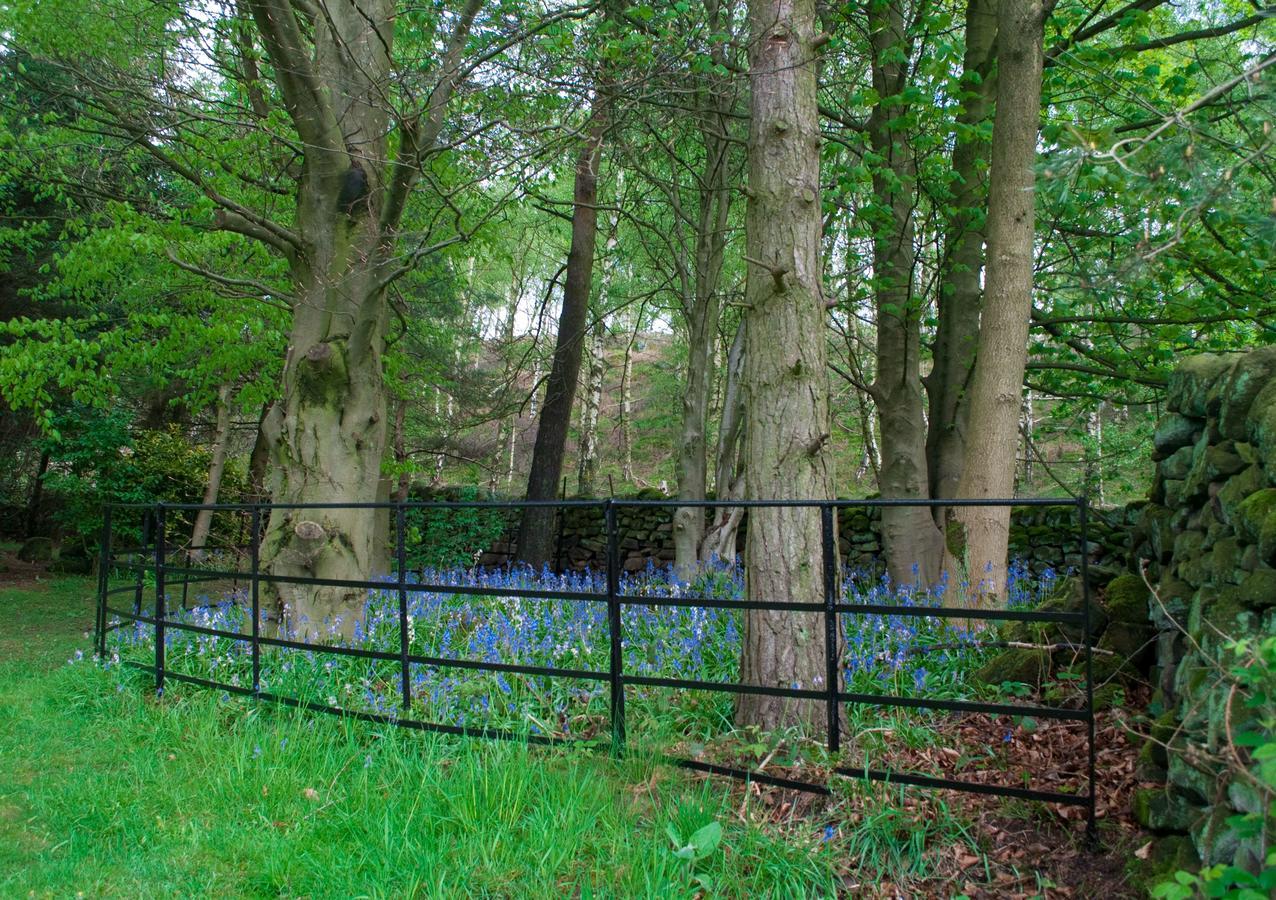 Robin Hood Farm B&B Baslow Exteriör bild